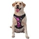 thumbnail image 1 of Fotbe Pink Blossoms Butterfly Arnés para Perro con Estampado –Chaleco Ajustable Acolchado con Asa de Control para Perros Grandes-Medium, 1 of 6