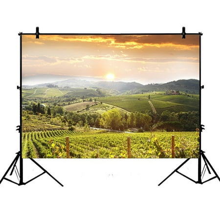 PHFZK 7x5ft Sunset View Backdrops, Chianti Vineyard Landscape in Tuscany, Italy Photography Backdrops Polyester Photo Background Studio