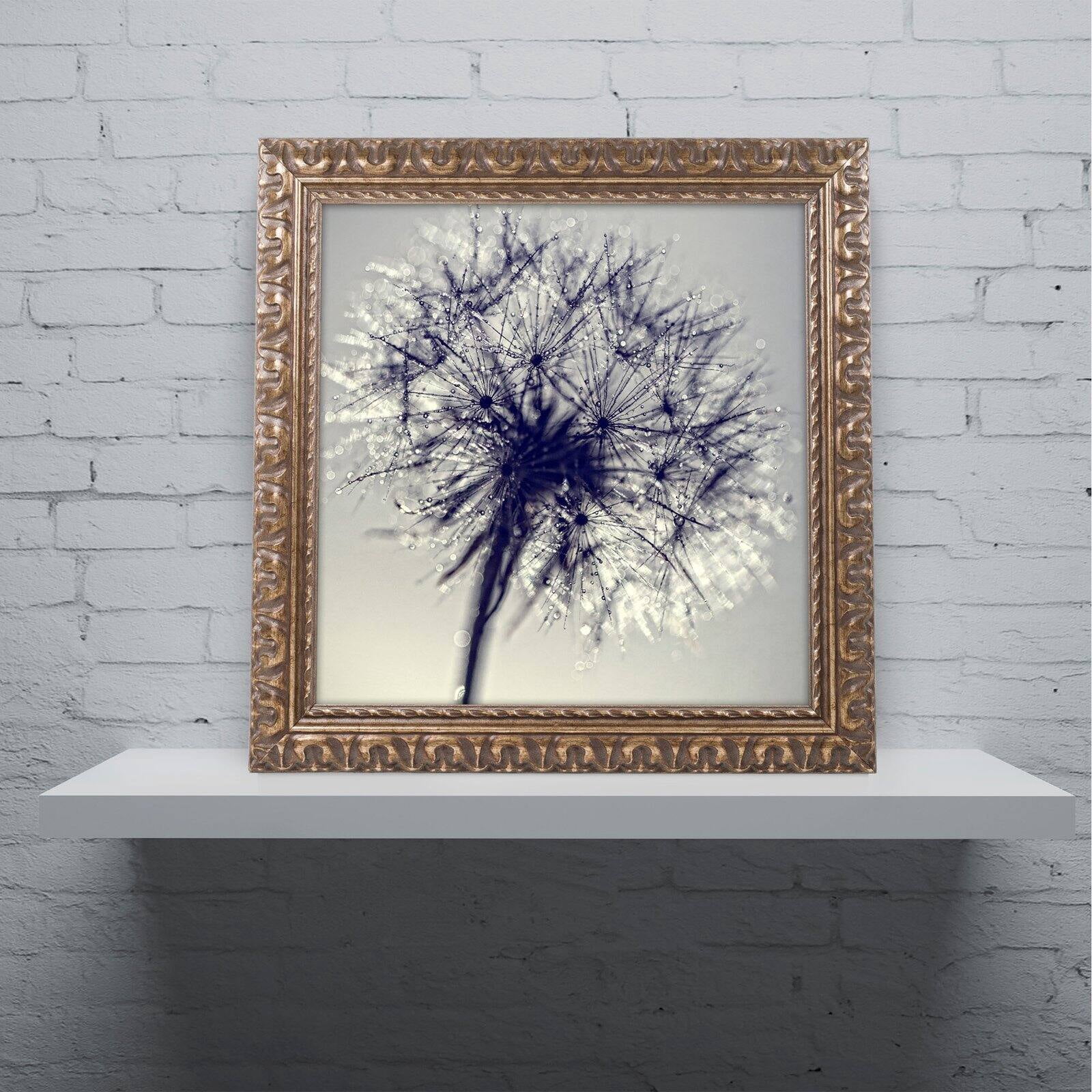Trademark Fine Art "Morning Sparkles" Canvas Art by Beata Czyzowska Young, Black Matte, Black Frame