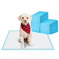 thumbnail image 1 of Pet Training Pads BESTLE para orinar para perros, 55,9 x 55,9 cm, 100 unidades, 1 of 6