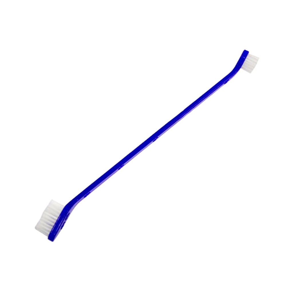 cat teeth cleaning cost canada