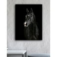 thumbnail image 2 of Black Horse Portrait Canvas Art 36 x 24, 2 of 4