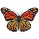 thumbnail image 1 of Cojín decorativo con diseño de mariposas, respaldo suave, para silla, hogar, oficina, coche, naranja, 40 x 35 cm, 1 of 1