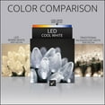 thumbnail image 7 of Wintergreen Lighting C7 LED Christmas Lights, 25 Bulb, 8" Spacing – Green Wire, 7 of 7