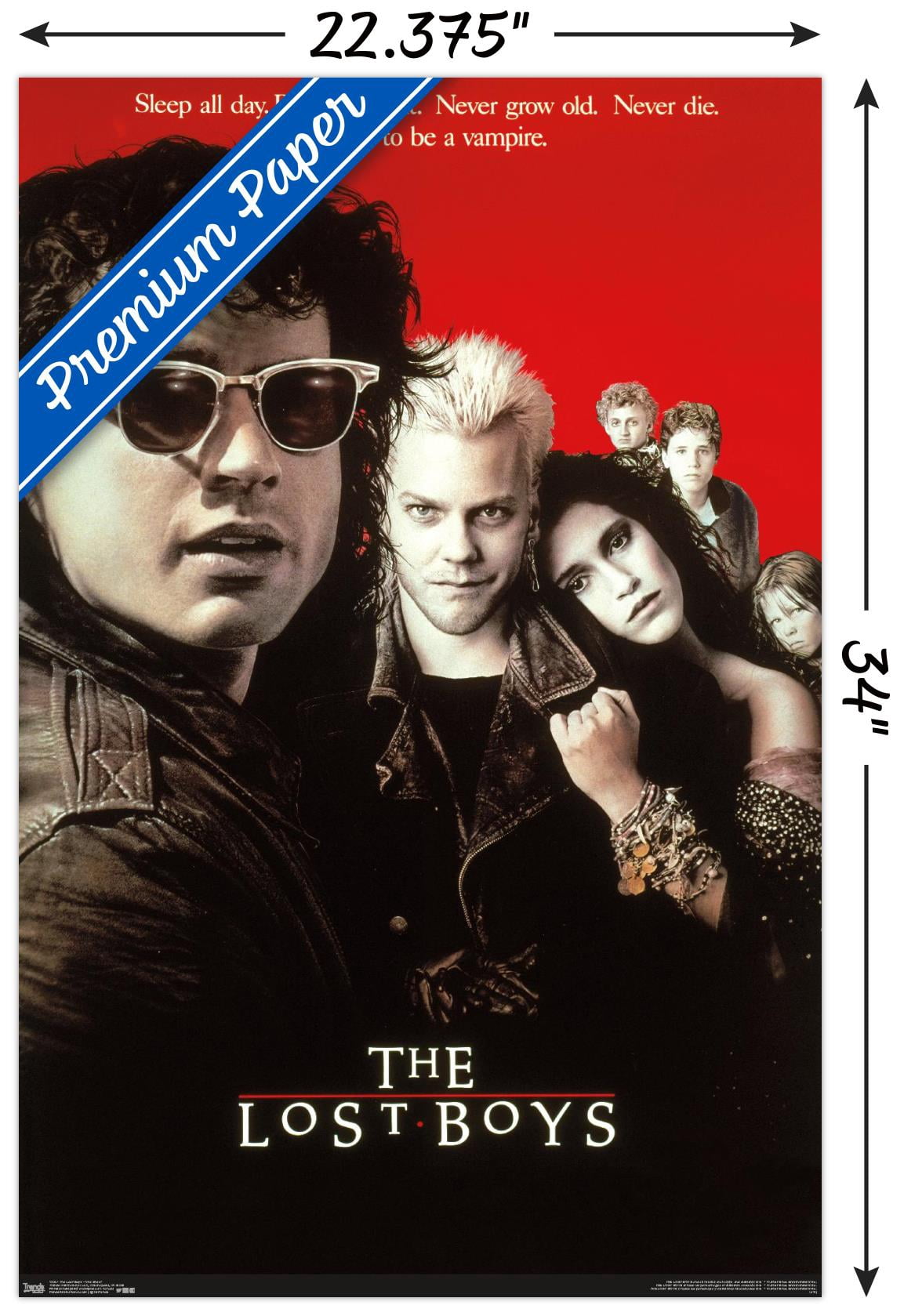 The Lost Boys - One Sheet Wall Poster, 22.375" x 34"