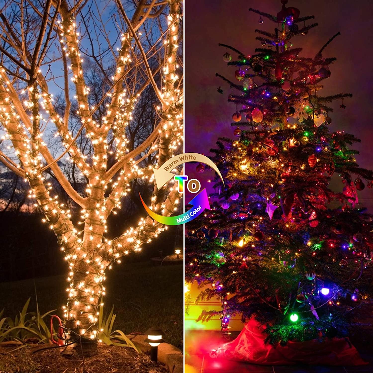 CelebrationLight JM6TQRC String Light with Remote and Timer - 35ft Battery  Operated Christmas Tree Lights with 75 LEDs - Outdoor String Lights with 3