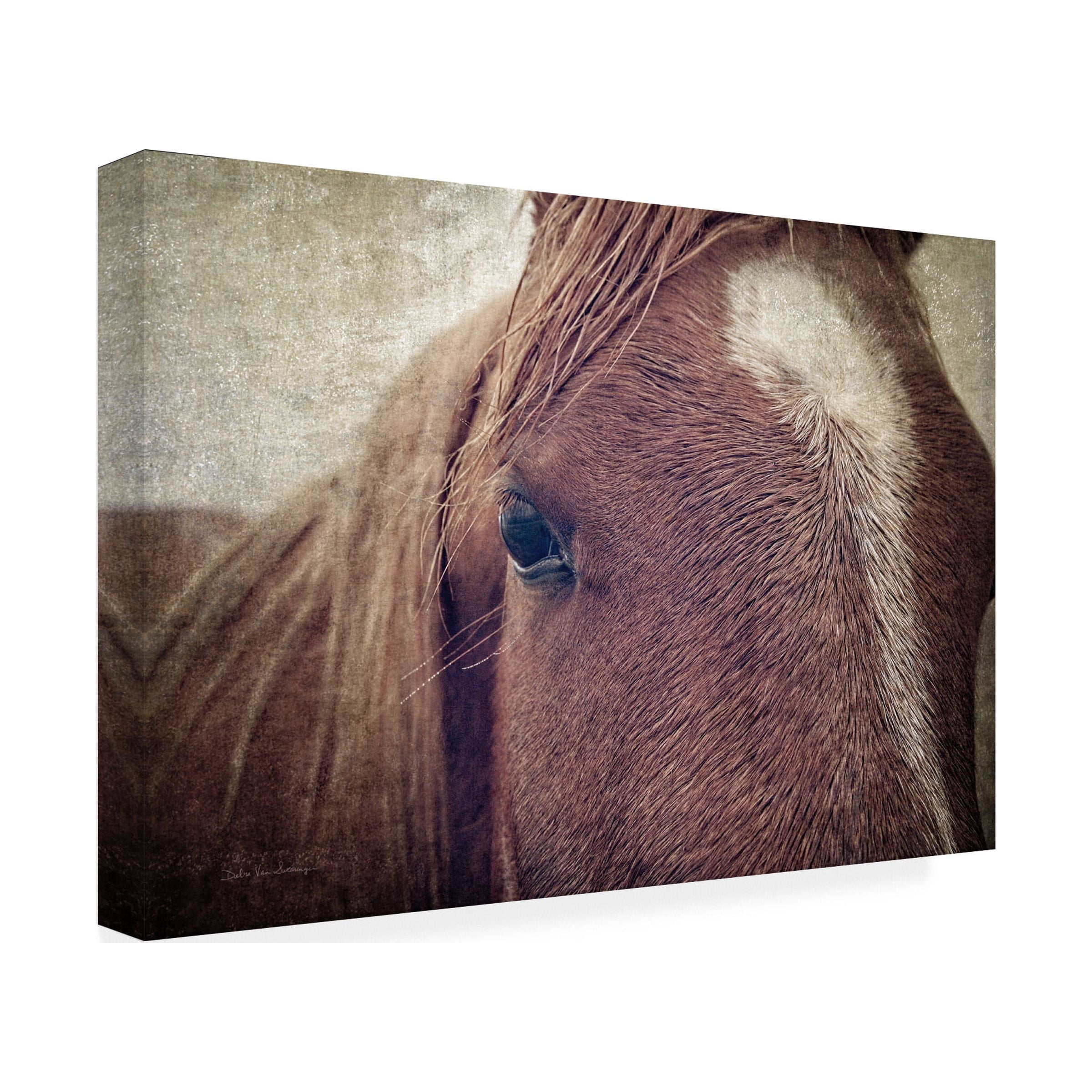 Debra Van Swearingen 'Dew Lashes' Canvas Art