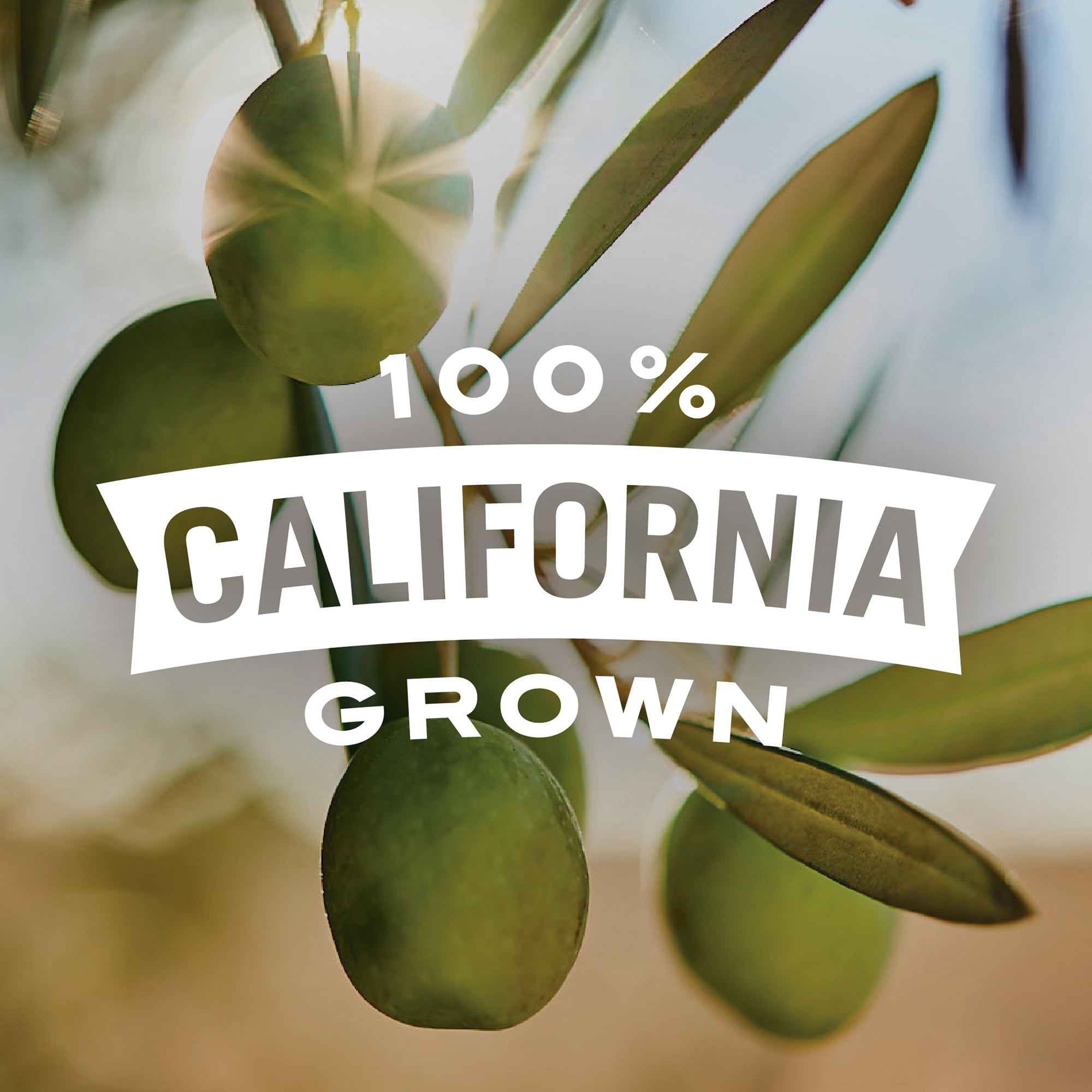 (2 pack) Early California Sliced Black Ripe Olives 3.8 oz Can - No Artificial Colors & Major Allergens Free