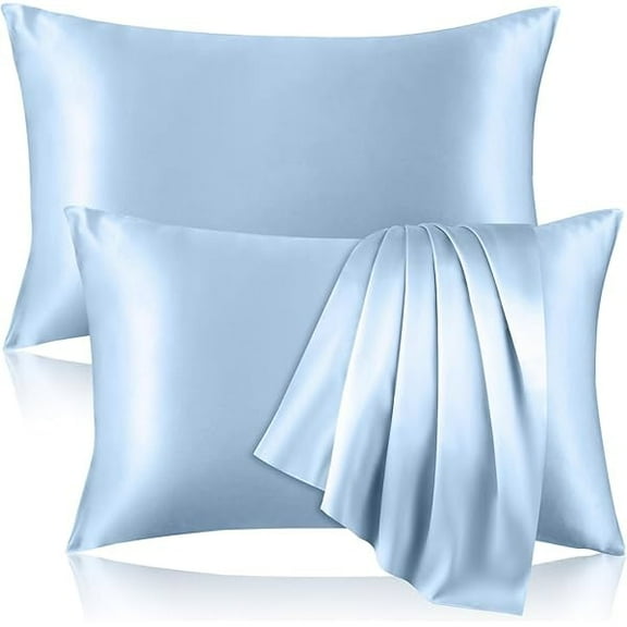 2 Pack 100% Pure Silk Pillowcase for Hair and Skin, Both Sides Mulberry Silk Pillowcases with Hidden Zipper, Cooling Pillowcase 19 Momme, 600 Thread Silk Pillow Cases Standard Size, Light Blue