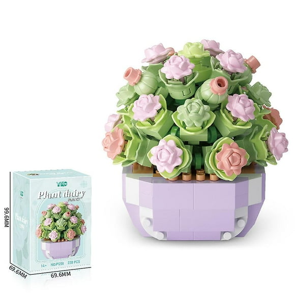Succulent Building Set, Succulent Bonsai Botanical Decor Collection Building Kit, Build a Succulents Plants Display Piece for Home or Office, Ideal Gi