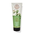 thumbnail image 1 of Eucalyptus Spearmint Moisturizing Body Wash 10 fl oz / 296 mL, 1 of 1