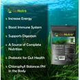 Spirulina Powder Pure Organic 4 Oz Walmart spirulina-powder-pure-organic-4-oz-walmart