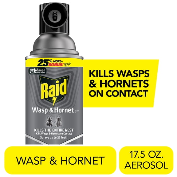 Raid Wasp & Hornet Killer, Outdoor Flying Insect Spray, 17.5 oz