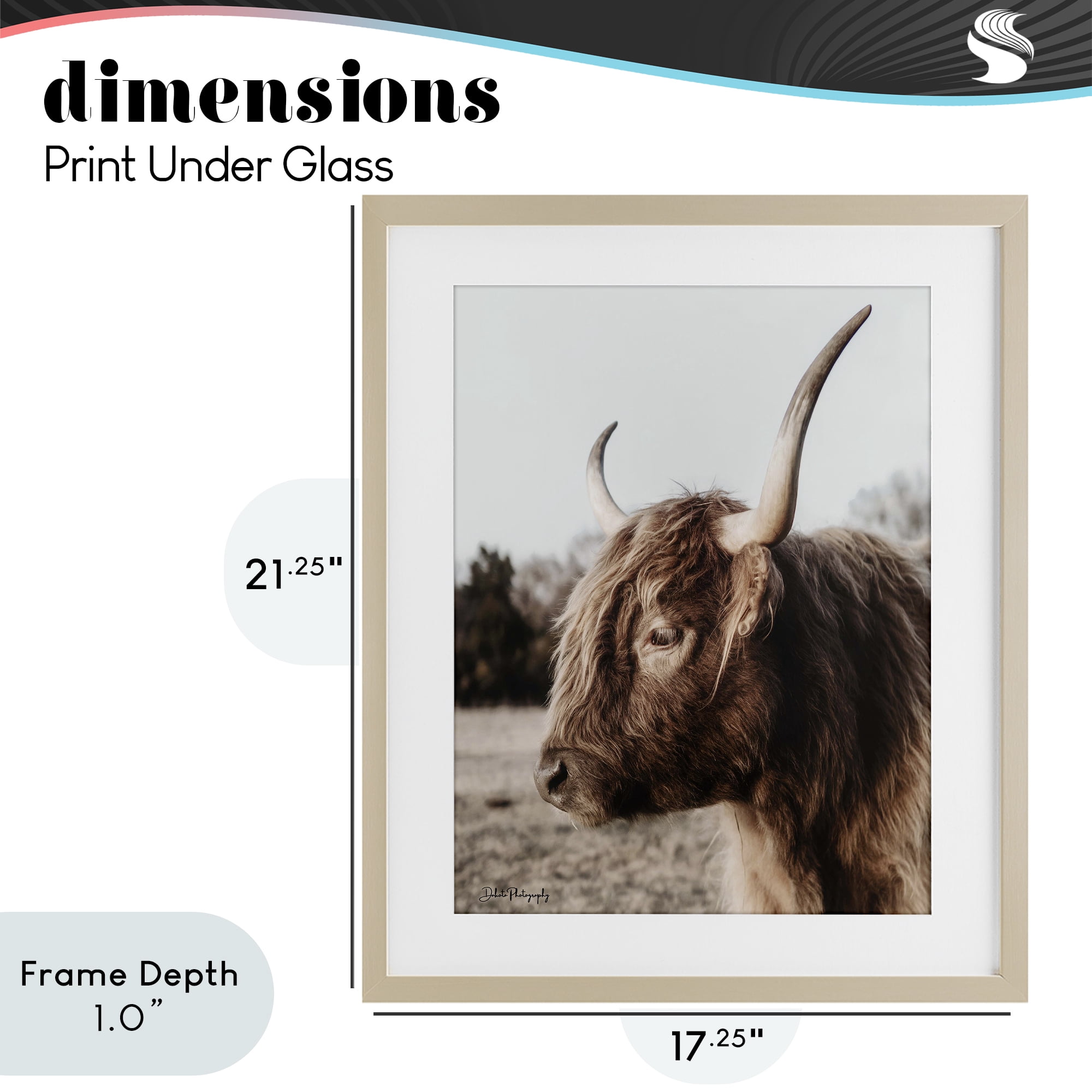 Stupell Industries Horned Cattle Peering Birch Framed Print Under Glass, design by Dakota Diener