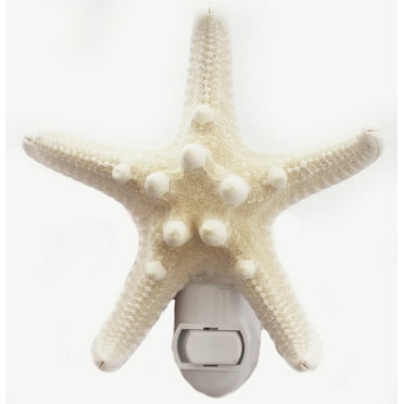 Real Seashell Night Light White Starfish (Real) Nautical Beach Decor w. Switch