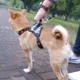thumbnail image 5 of Arnés de nailon personalizado para perros, reflectante, transpirable, para perros pequeños y grandes, accesorios de entrenamiento para paseos al aire libre, 5 of 5
