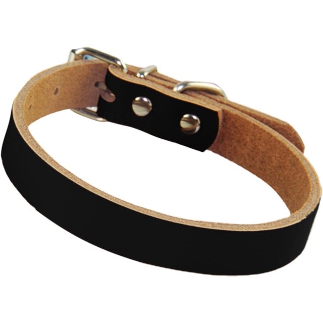 1 Uds. Collar de perro de cuero enrollado-collares cómodos para perros medianos-collares para mascotas para perros medianos y grandes Sincero Electrónica