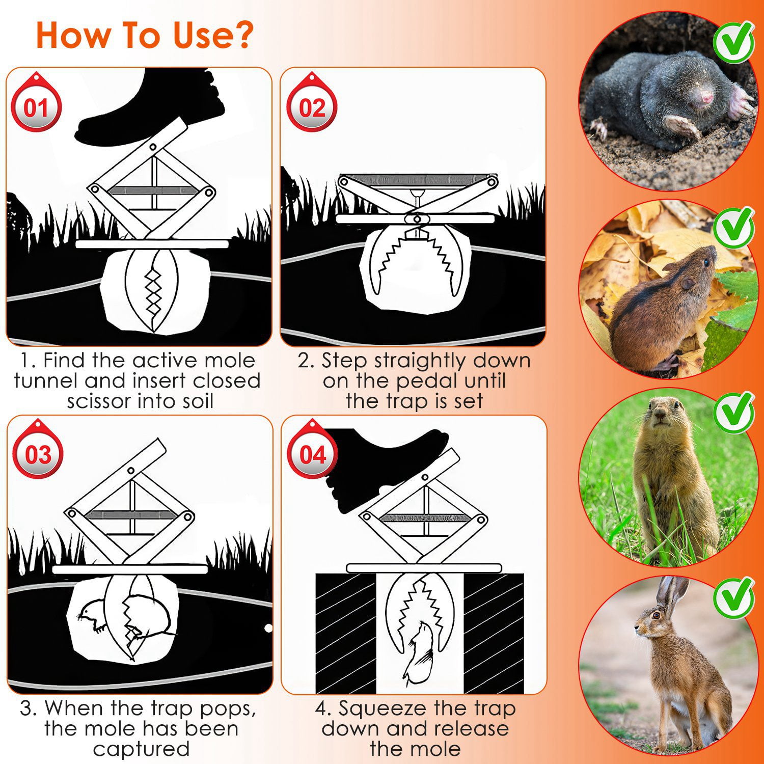 2 Pack Mole Traps Thickened Metal Mole Scissor Trap Reusable Mole Trap Mole Control Easy Set Ground Mole Trap for Lawns