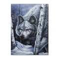 thumbnail image 2 of Trademark Fine Art 'White Wolf' Canvas Art by Jenny Newland, 2 of 4