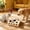 B, variant on Solid Wood Kitty Maze Puzzle Toy Box, Interactive Scratch Play Box for Felines,A