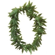 PMU Tropical Fern Hawaiian Luau Party Costume and Accessory (1/pkg) Pkg/1