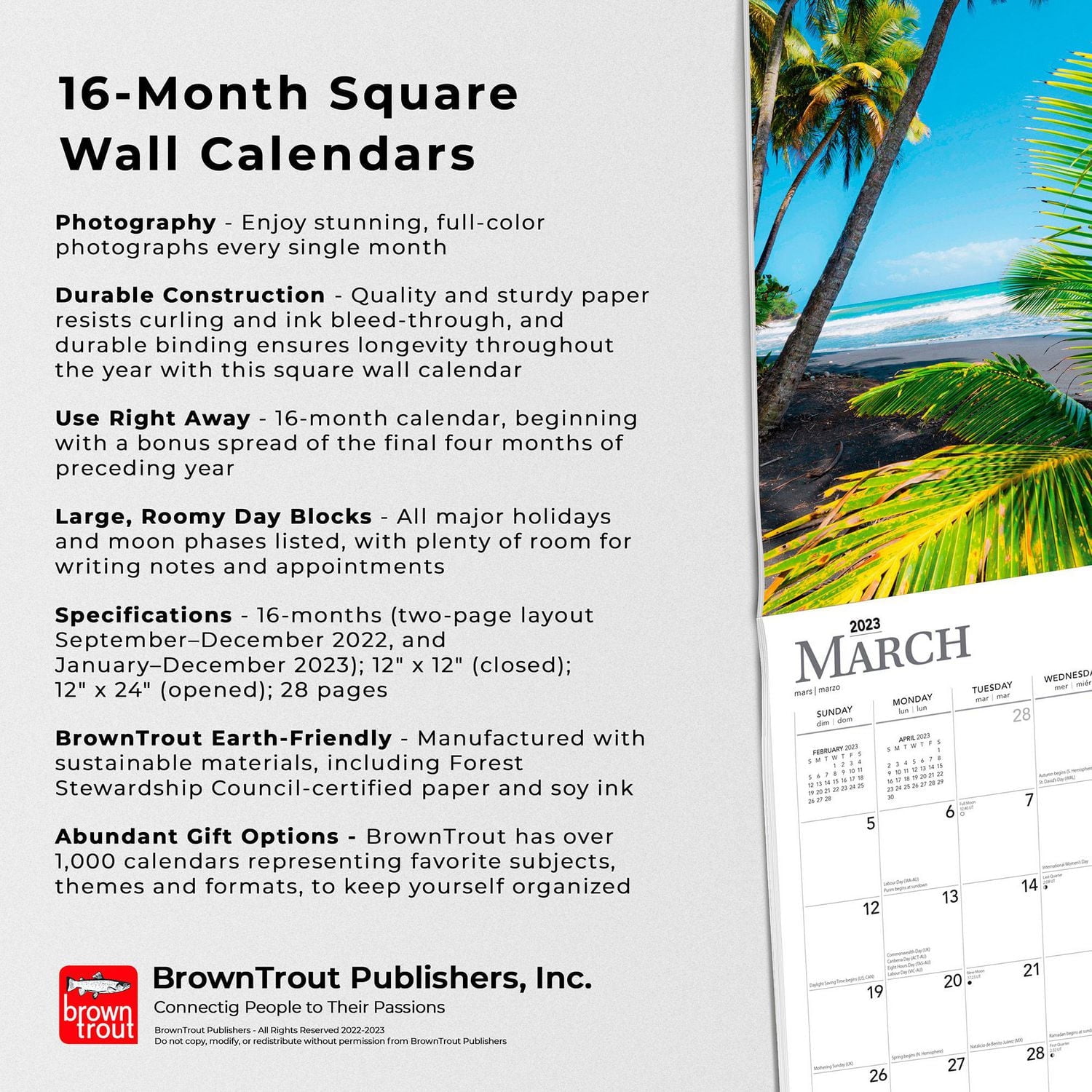 Beaches 2023 Square