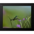 thumbnail image 2 of Fitzharris, Tim 14x12 Black Modern Framed Museum Art Print Titled - Andean Emerald Humming Bird, 2 of 5