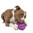 thumbnail image 3 of One Paw, Glow in the Dark Ball, Textured Rubber, 1 pack, Night Fetch Fun, for Dogs, 3 of 7