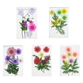 thumbnail image 1 of Flor seca natural Flores coloridas Ornamento Arte DIY Crafting Flossed Floral Seco Plant para tarjetas de boda Velas de resina 5 Conjuntos Speravity HA010742-00, 1 of 7
