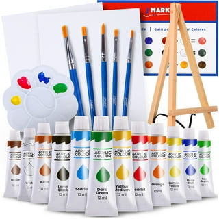 46 Pack Acrylic Paint Set, Shuttle Art 30 Colors Acrylic Paint with 10  Paint Brushes 3 Painting Canvas 1 Paint Knife Palette Sponge, Gift Set for  Kids, Adults , Beginners, School Activities 