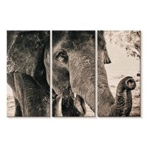 Elephant Stock Elephant Up Close Wall Art - Horizontal Multi Panel Canvas - Living Room Wall Decor - Animal Multi Panel - Brown And Beige Decor - 65" x 42"