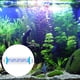 thumbnail image 4 of Wdftyju Lámpara de cultivo de plantas acuáticas para pecera, súper delgada, azul, blanca, resistente al agua, Clip de luz Wdftyju 4jx9mn6la4va8qa6D01, 4 of 7