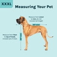 thumbnail image 4 of SportPet Designs Airline Approved Plastic Dog Kennel with Wheels, XXX-Large, 4 of 12
