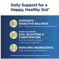 thumbnail image 4 of Adult Fiber Supplement | Fiber Smart | 120 Vegetarian Capsules | by Renew Life, 4 of 6