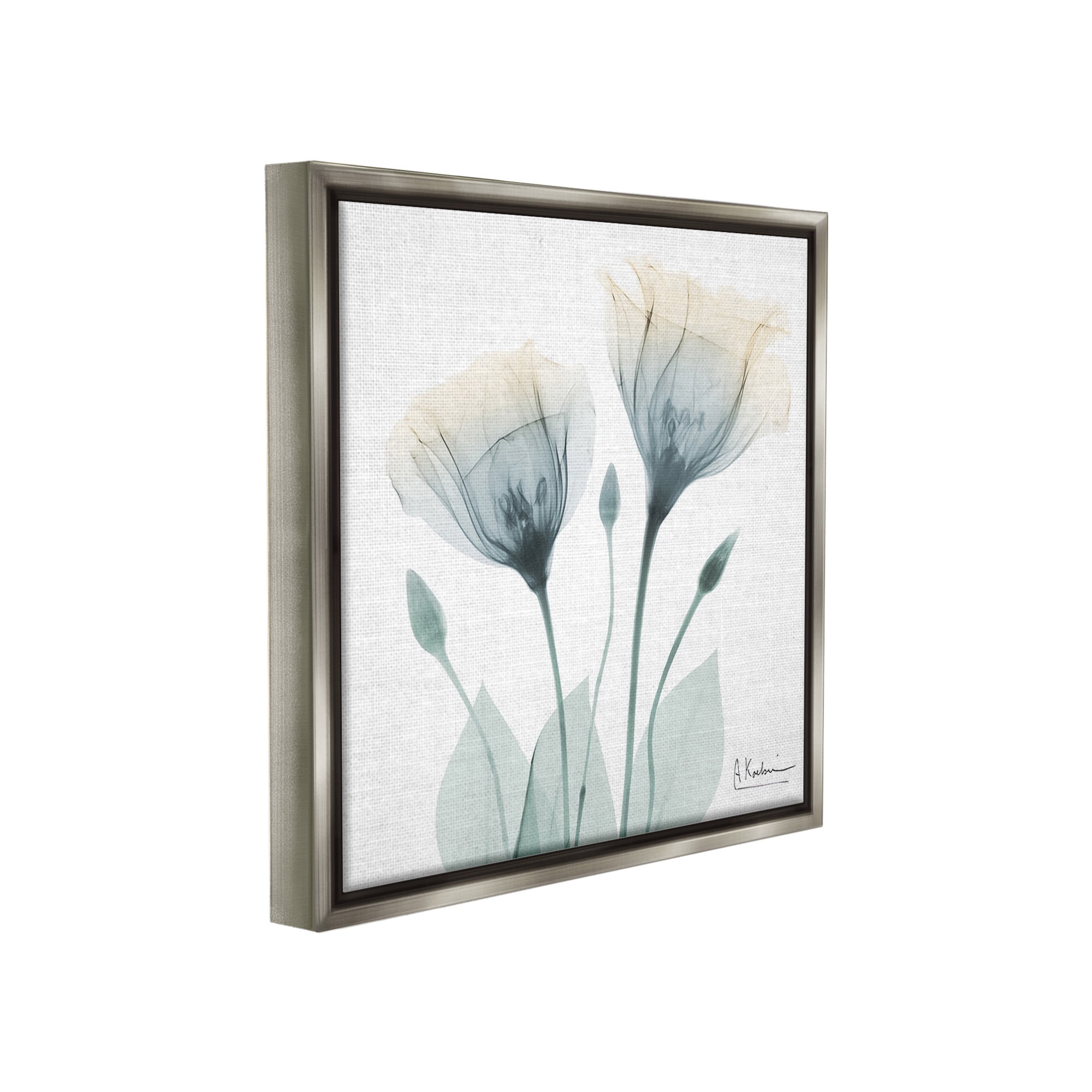 Stupell Industries Opaque Tulip Duo Botanical & Floral Photography Gray Floater Framed Canvas Art Print Wall Art, 25 x 25
