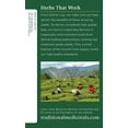 thumbnail image 3 of Traditional Medicinals Organic Hawthorn with Hibiscus -- 16 Tea Bags Pack of 2, 3 of 4