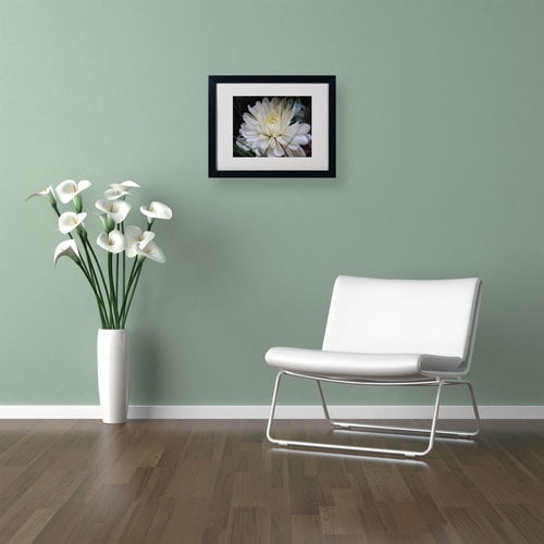 Trademark Fine Art "Vintage Culture" by Monica Fleet, Black Frame