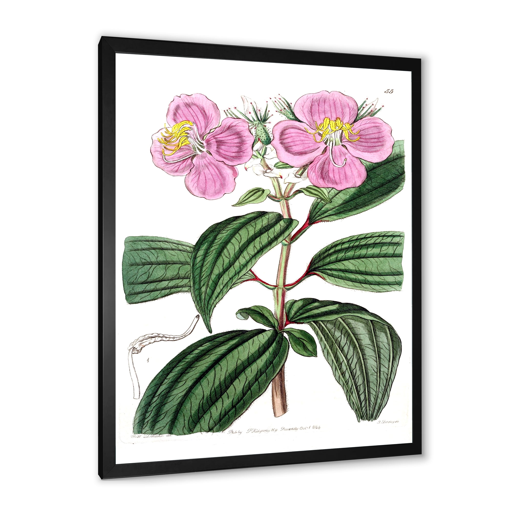 Designart 'Ancient Plant Life XXIII' Traditional Framed Art Print