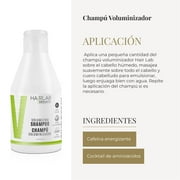 Salerm Cosmetics Hair Lab Volumizing Shampoo - 10.6 oz
