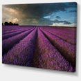 thumbnail image 2 of Lavender Field and Dramatic Sky - Floral Canvas Art Print, 2 of 3