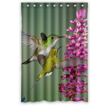 MOHome Funny Hummingbird Eat Flower Shower Curtain Waterproof Polyester Fabric Shower Curtain Size 48x72 inches