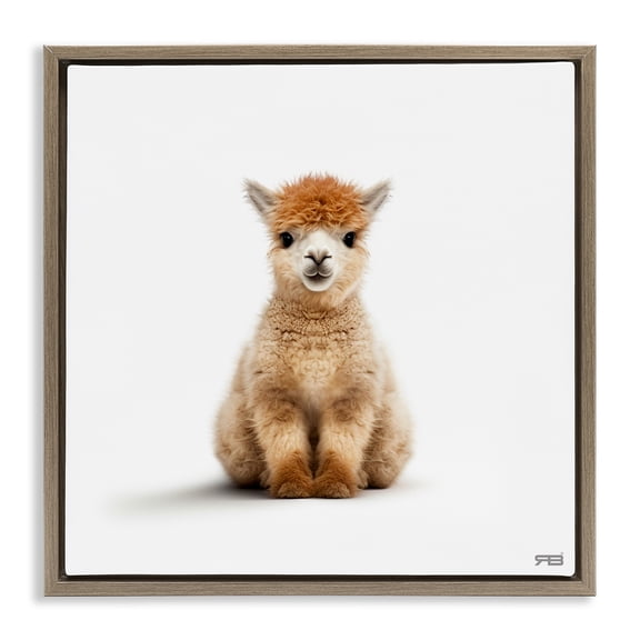 Stupell Industries Minimalist Baby Alpaca Portrait Brown Floating Frame Canvas Art, 18 x 18, by RB