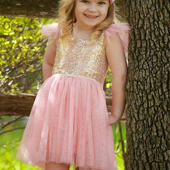 Butterfly Craze Pink & Gold Sequin Ballerina Princess Dress- 3Y