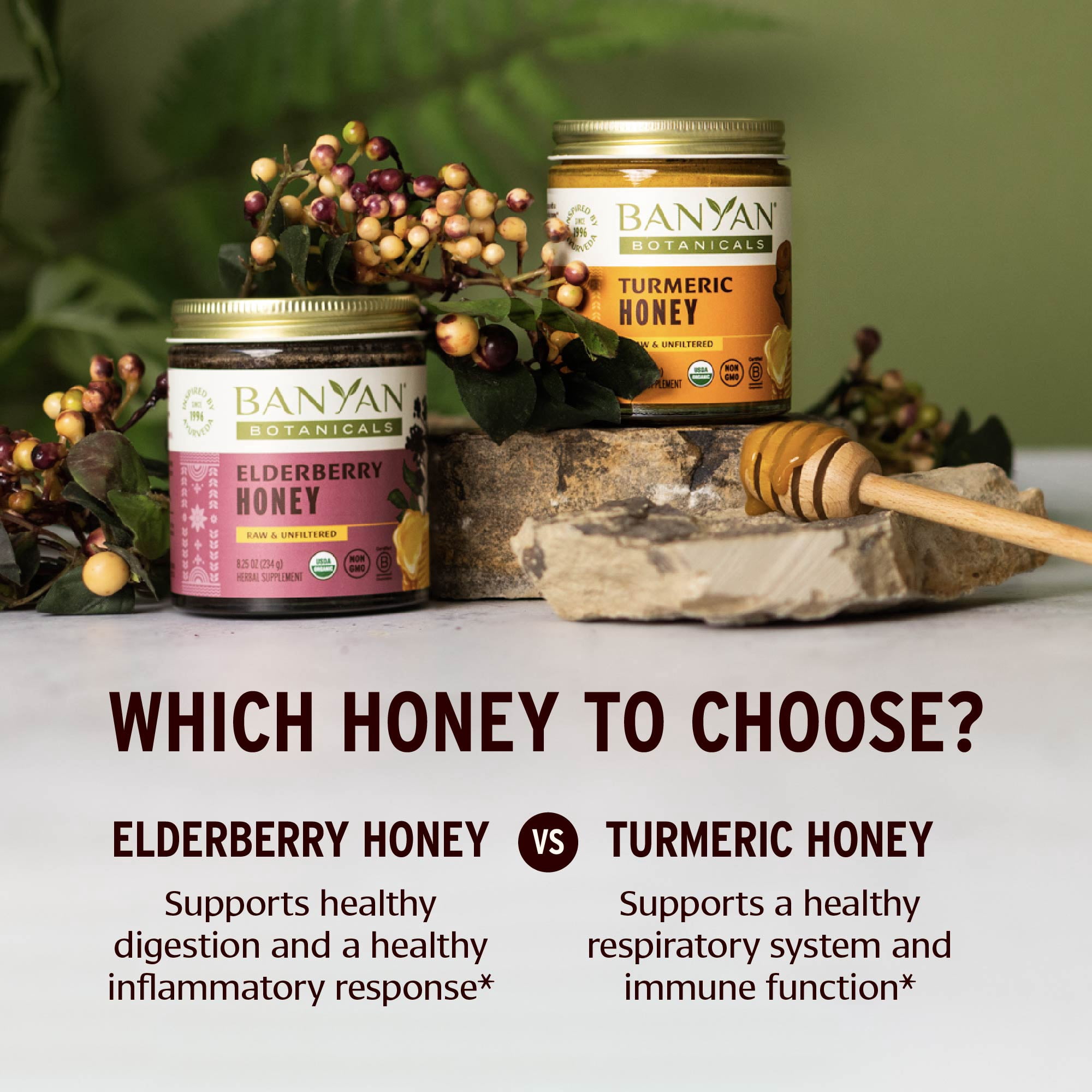Banyan Botanicals Elderberry Honey – Organic Herbal Honey with Sambucus & Amla ­­– Immune Support for Kids & Adults* – 8.25 Oz – Raw & Unfiltered, Pollinator-Friendly, Sustainably Sourced