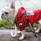 thumbnail image 5 of Luxury The Dog Face Pet Rain Coat Jacket Hoodies Weatherproof Large Dog Raincoat Sweatshirt For Dogs Apparel Clothes Costumes ShopWise Round, 5 of 9