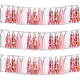 thumbnail image 1 of Guirnalda Metálica de Flecos con Borlas Hysilla 45 Borlas, 1 of 5