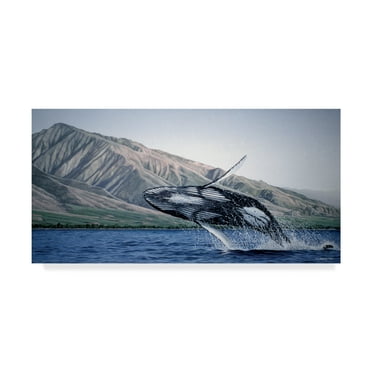 Trademark Fine Art 'Breeching Humpbacks Maui' Canvas Art by Ron Parker