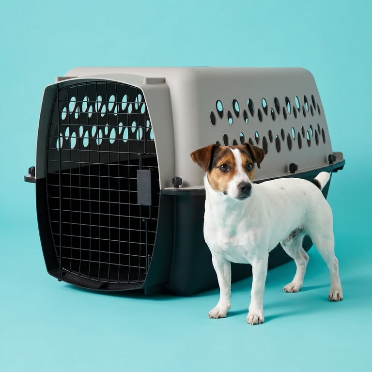 Vibrant Life Pet Kennel 23in Plastic Dog Crate Portable Carrier