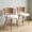 2 pcs Beige Cushions + Brown Rattan Metal Legs, variant on Wicker dining chairs - 2-piece set - Farmhouse soft cushioned cane back kitchen chair, sponge cushion, wing-back dining chair with metal legs, suitable for home and kitchen (dark brown)