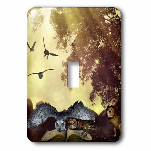 3dRose, Fantasy Guardian Owls Reading Storybook, single toggle switch
